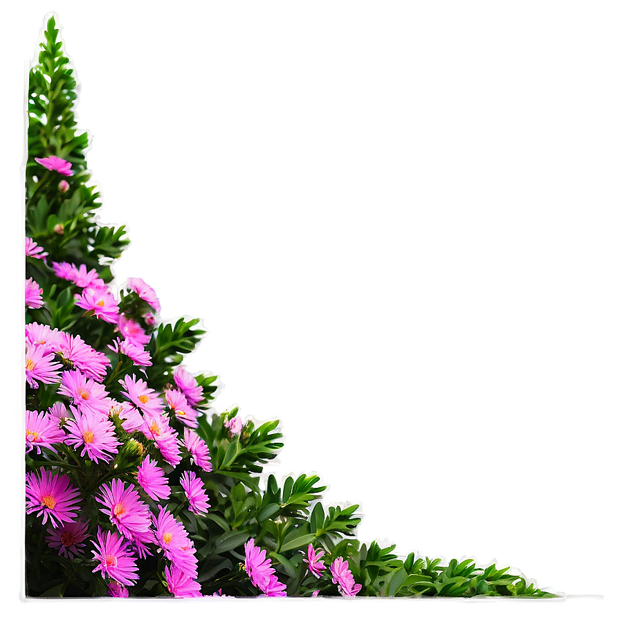 Aster Flower Bush Png 91 PNG Image