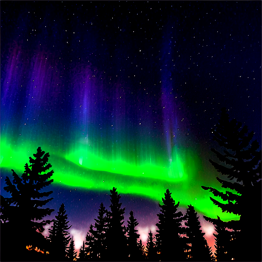 Aurora Borealis Through Pine Trees Png 16 PNG Image