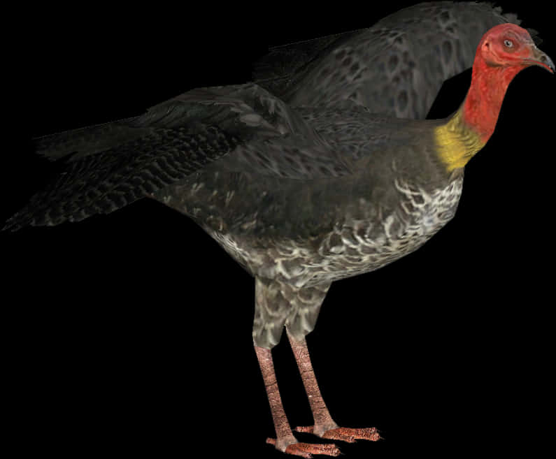 Australian_ Brush_ Turkey_ Profile PNG Image