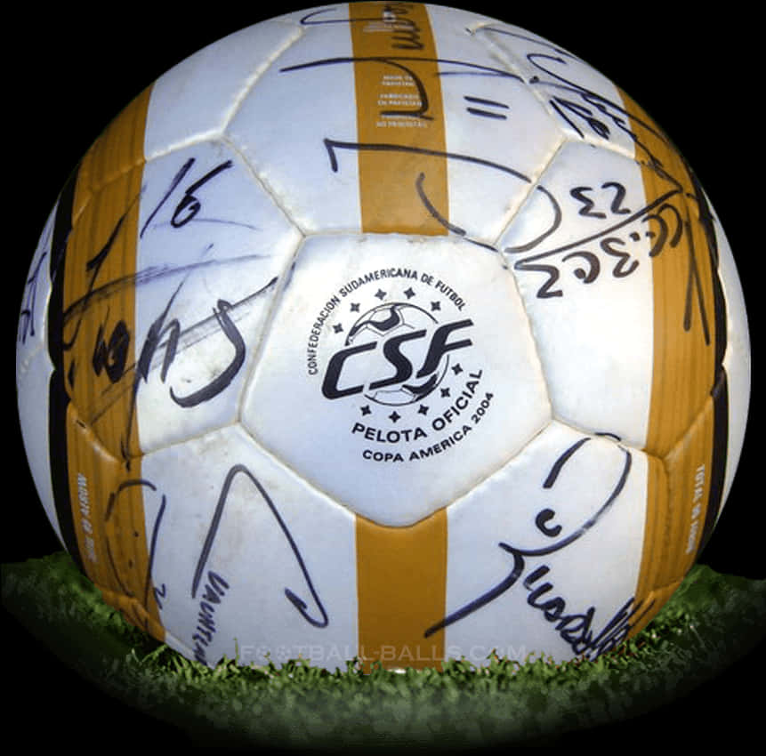 Autographed Soccer Ball Copa America PNG Image