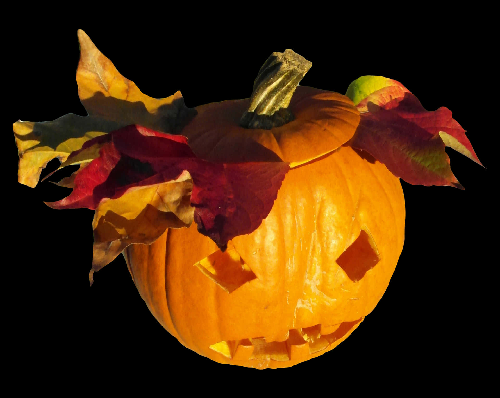 Autumn Halloween Pumpkin Carving PNG Image