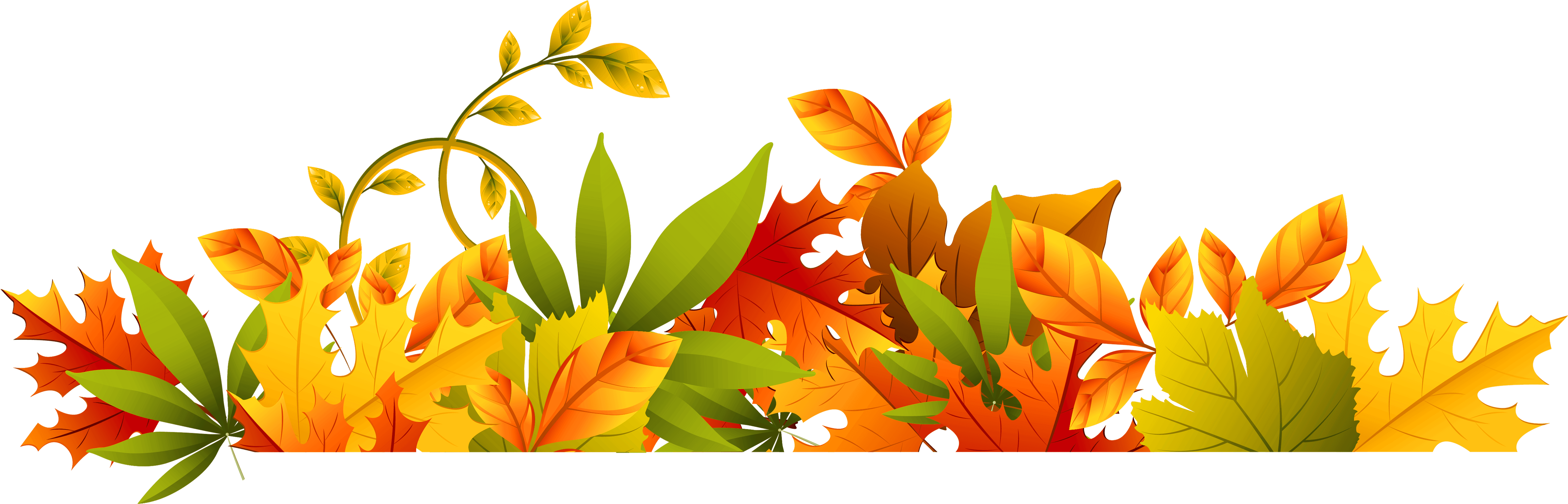 Autumn_ Leaf_ Border_ Design PNG Image