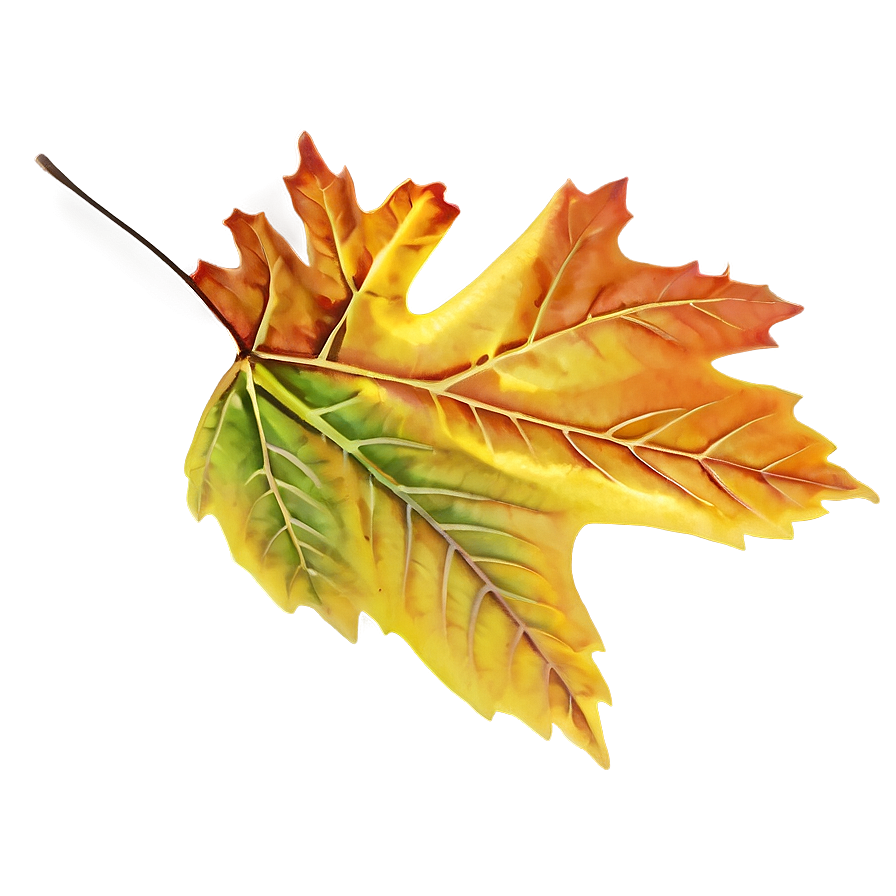 Autumn Leaf Png Wnk PNG Image