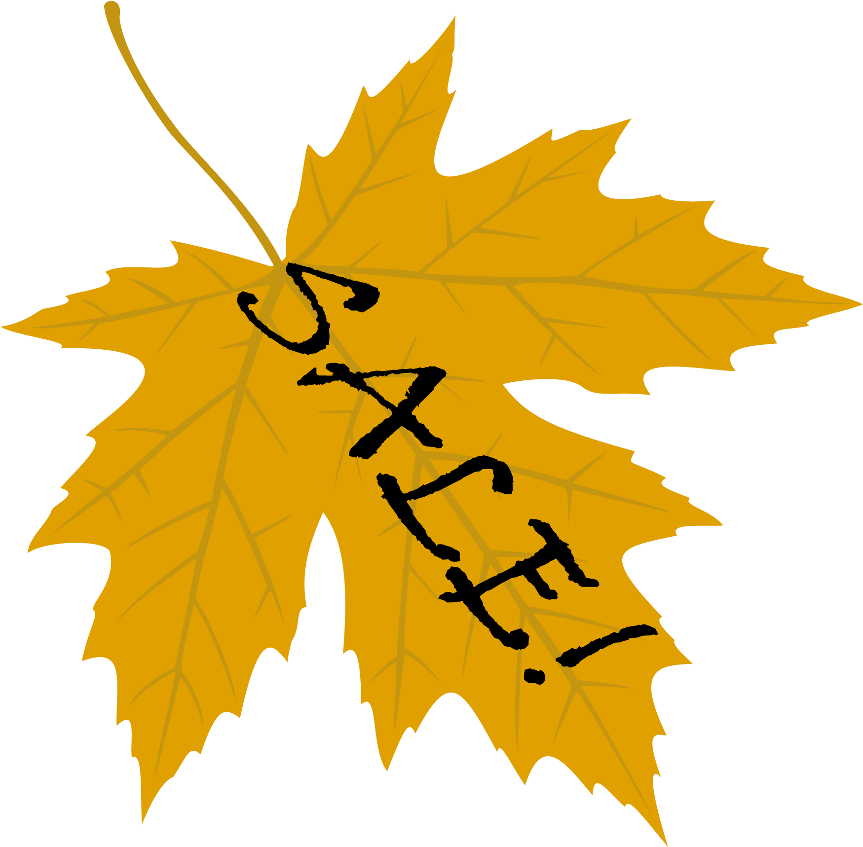 Autumn_ Leaf_with_ Scribble PNG Image