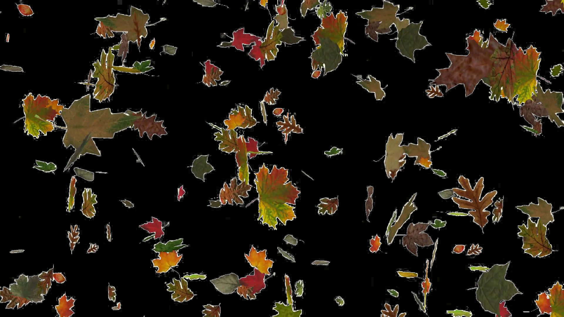 Autumn_ Leaves_ Against_ Dark_ Background.jpg PNG Image