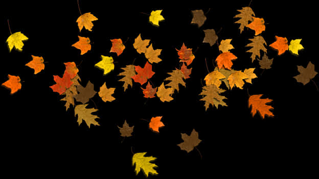 Autumn_ Leaves_ Against_ Dark_ Background.jpg PNG Image