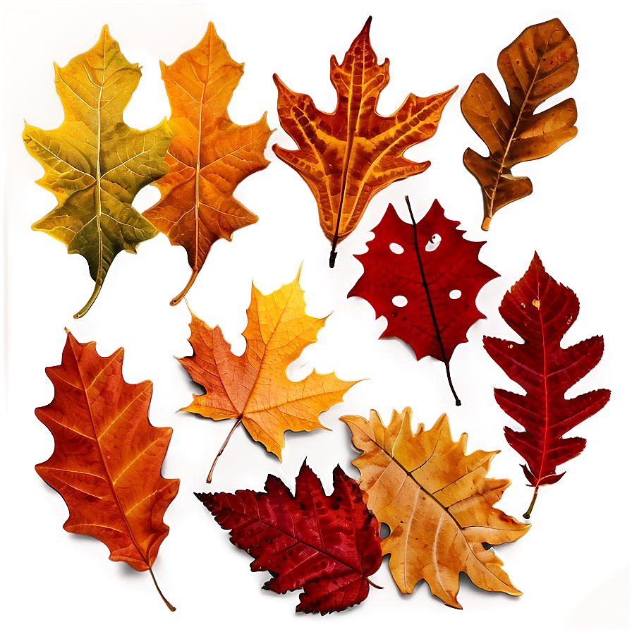 Autumn Leaves Background Png Erw3 PNG Image