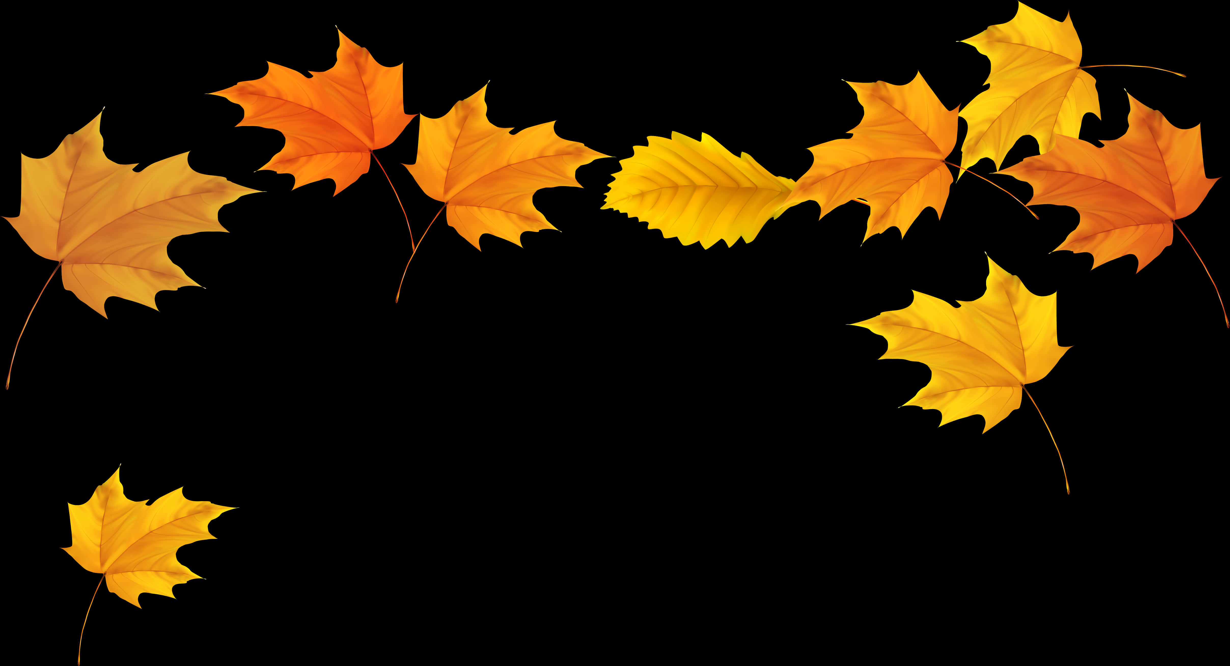 Autumn Leaves Black Background PNG Image