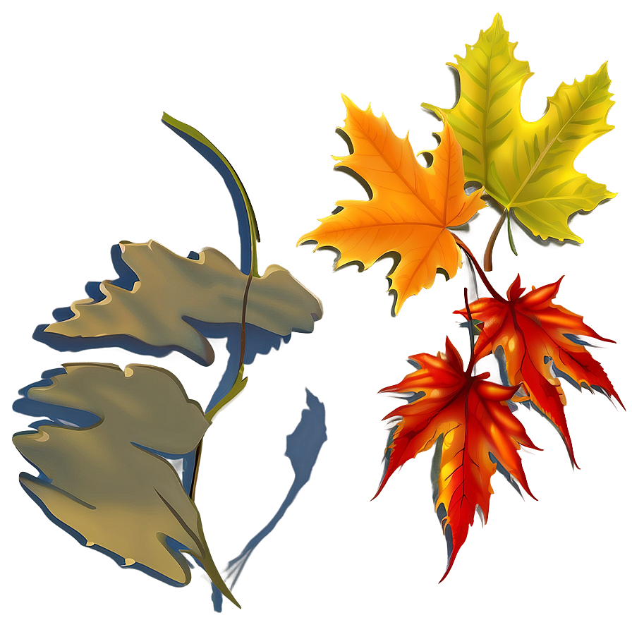 Autumn Leaves Clipart Png 05042024 PNG Image