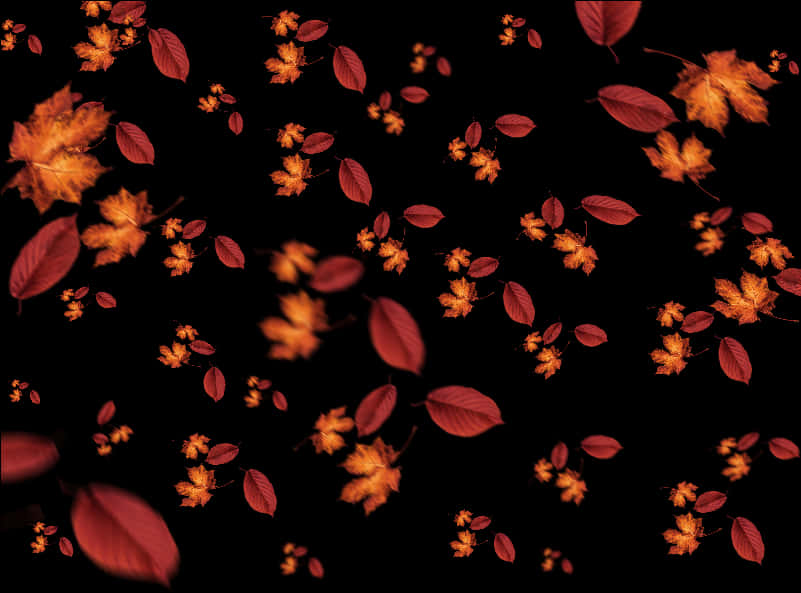 Autumn Leaves Floatingin Darkness PNG Image