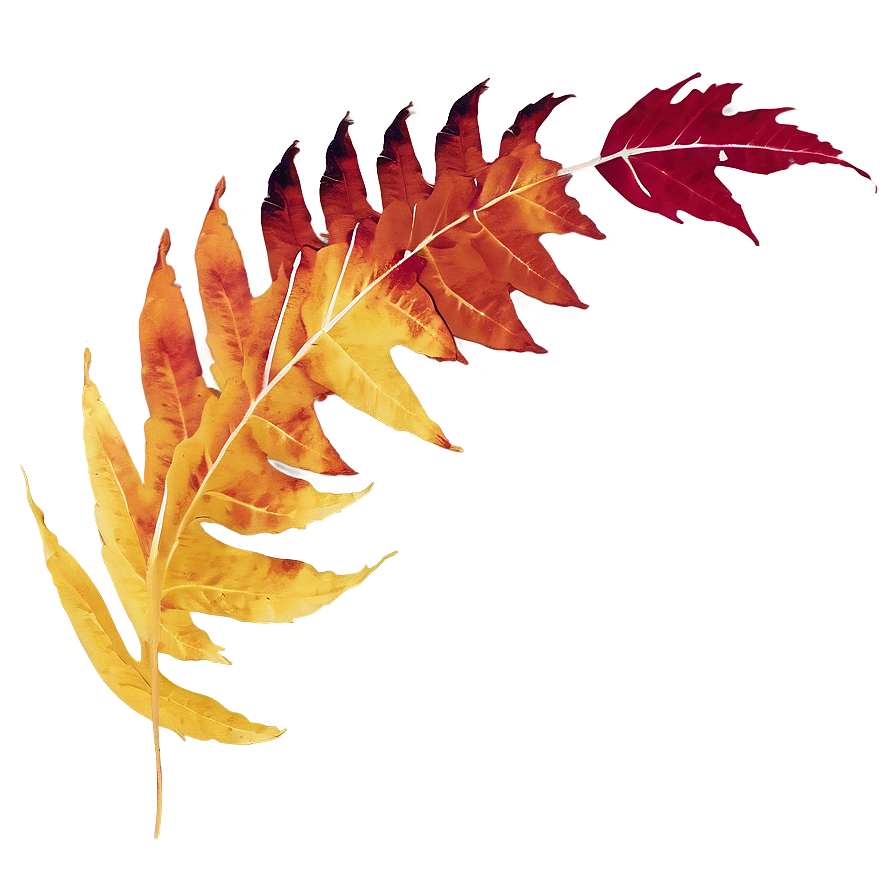 Autumn Leaves In Wind Png Egy PNG Image