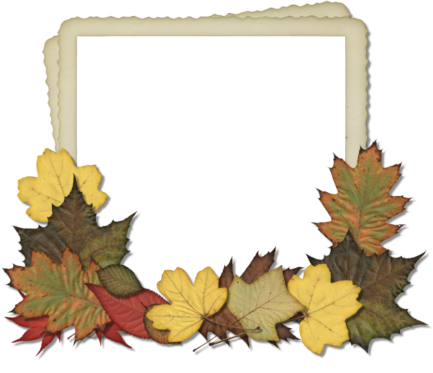 Autumn Leaves Photo Frame PNG Image