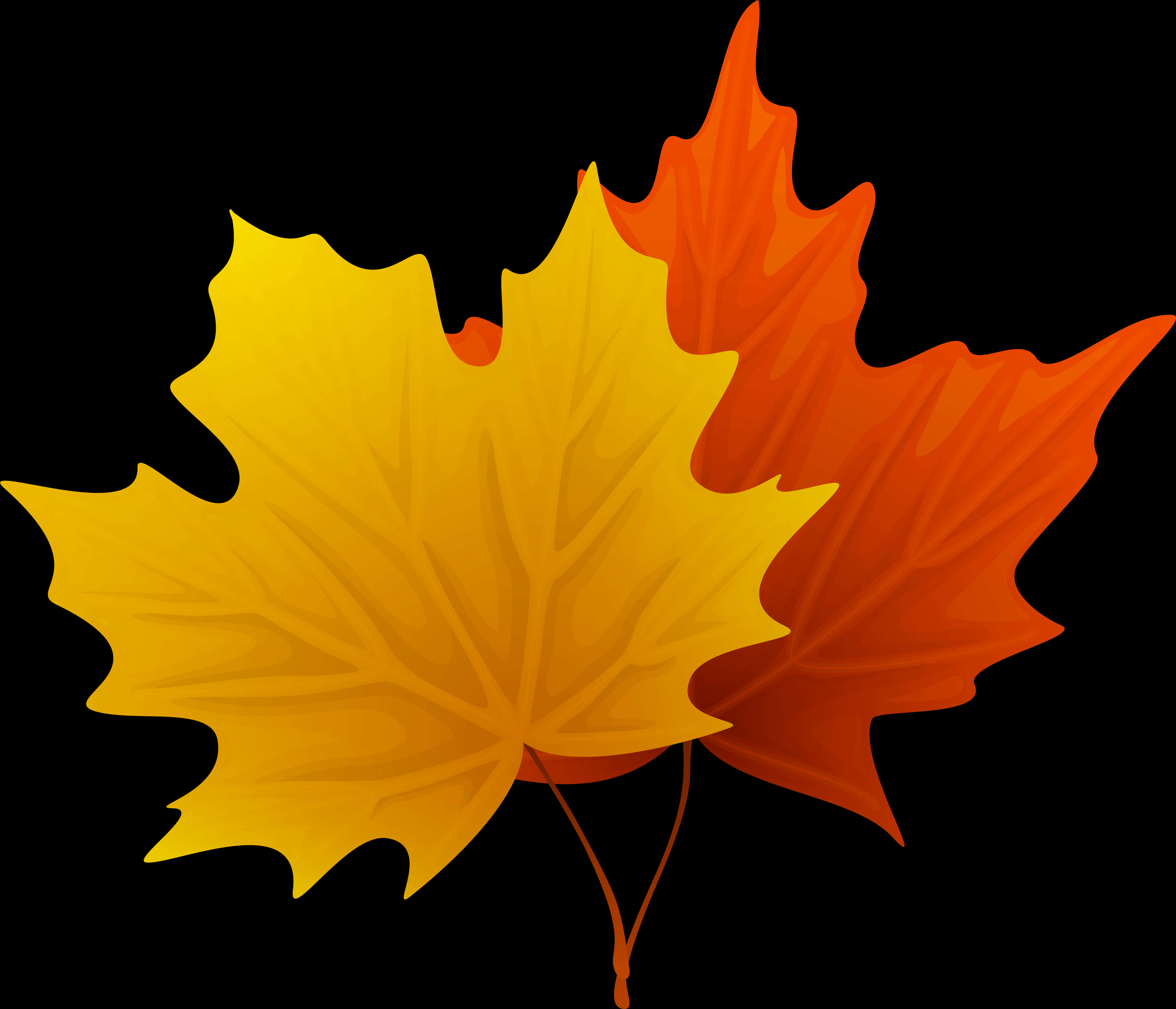 Autumn_ Leaves_ Vector_ Clipart PNG Image