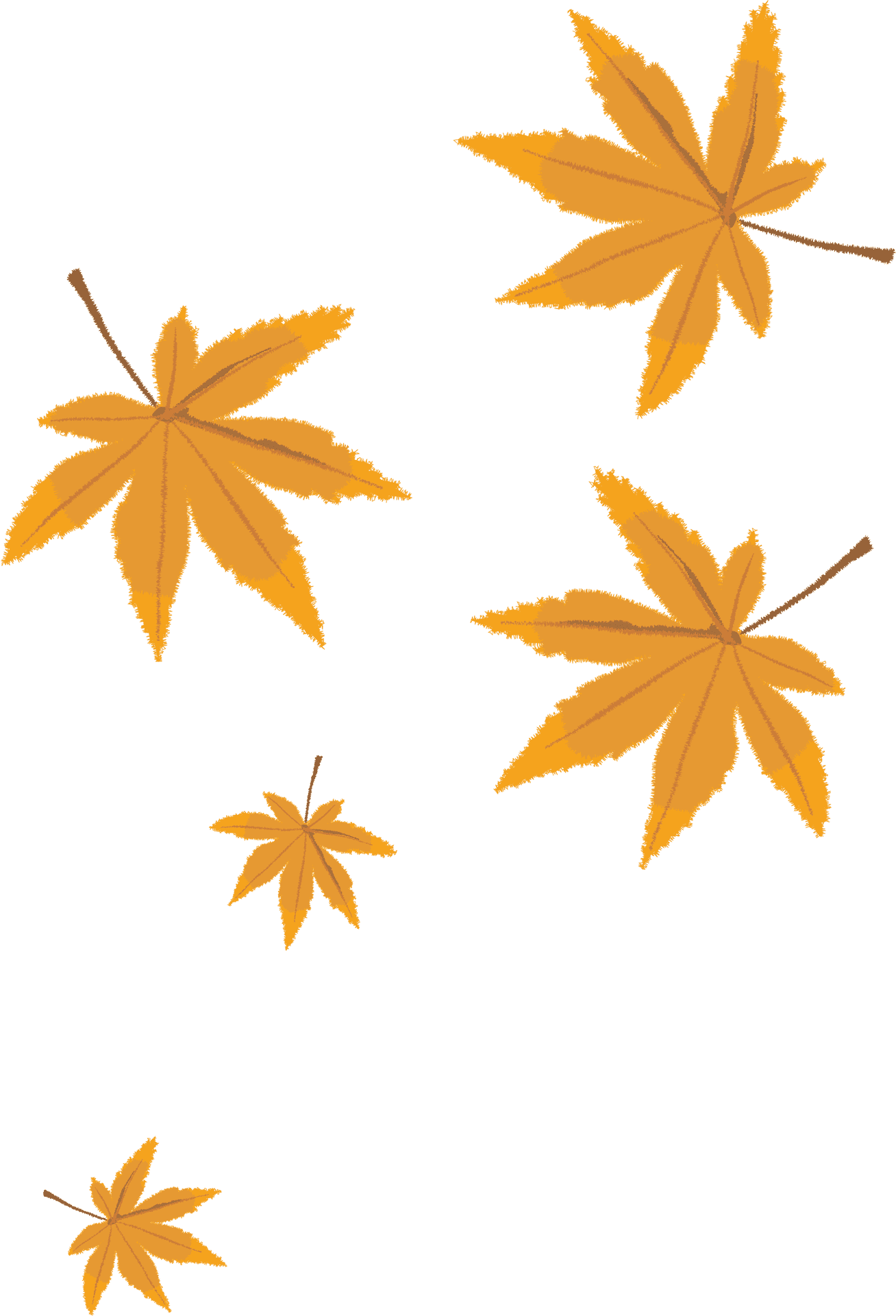 Autumn Leaves Vector Illustration PNG Image