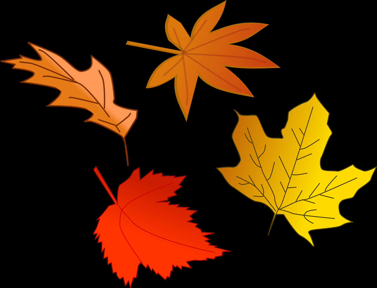 Autumn Leaves Vector Illustration PNG Image