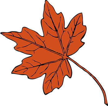 Autumn Maple Leaf Graphic PNG Image