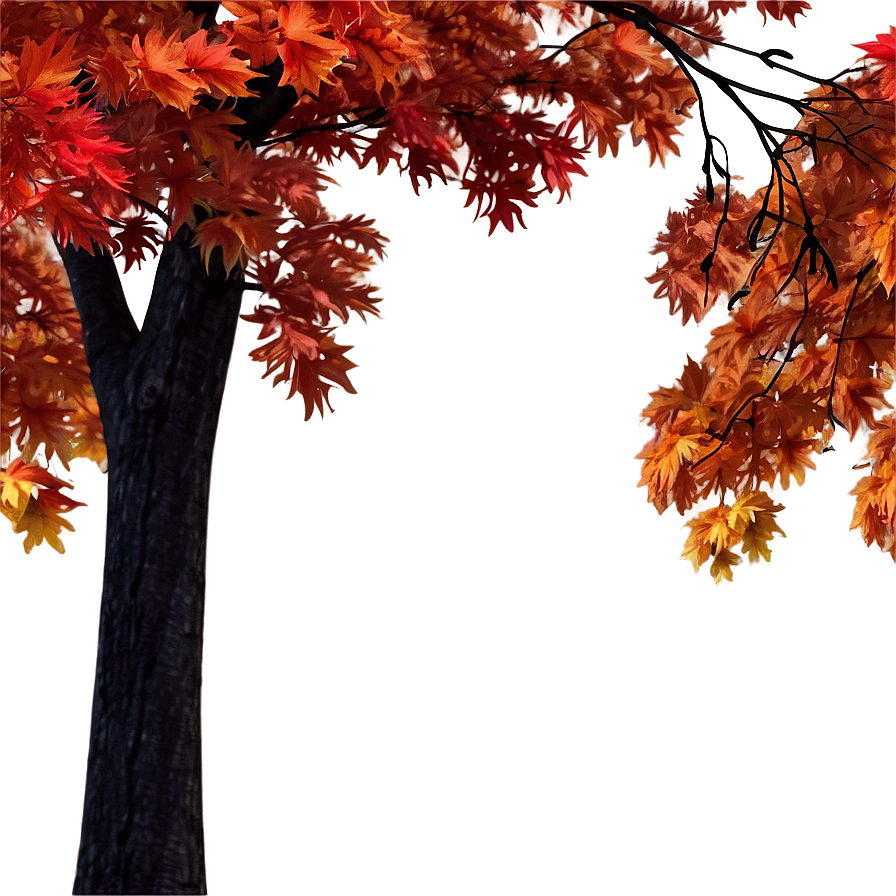 Autumn Maple Trees Png Euq PNG Image