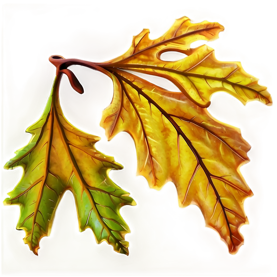 Autumn Oak Leaves Png Vcw PNG Image