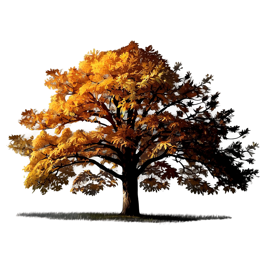 Autumn Oak Tree Png Hoq77 PNG Image