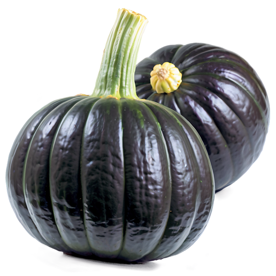 Autumn Squash Png Tcv PNG Image