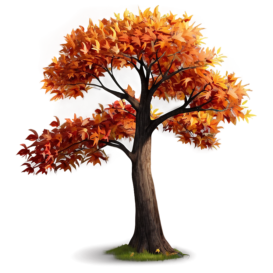 Autumn Tree A PNG Image