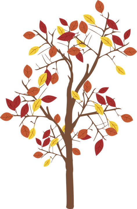 Autumn Tree Illustration PNG Image