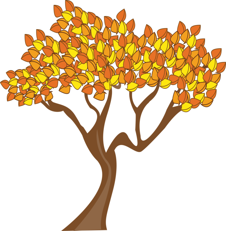 Autumn Tree Illustration PNG Image