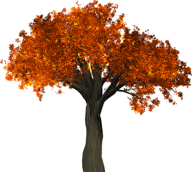 Autumn Tree Illustration PNG Image