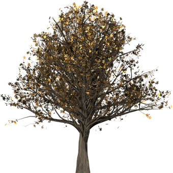 Autumn Tree Nighttime PNG Image