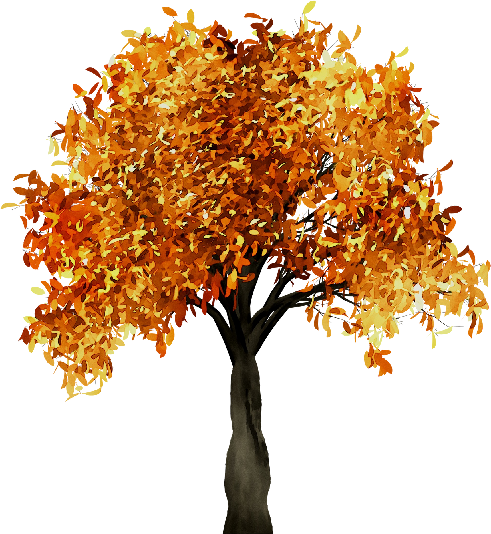 Autumn_ Tree_with_ Orange_ Leaves PNG Image