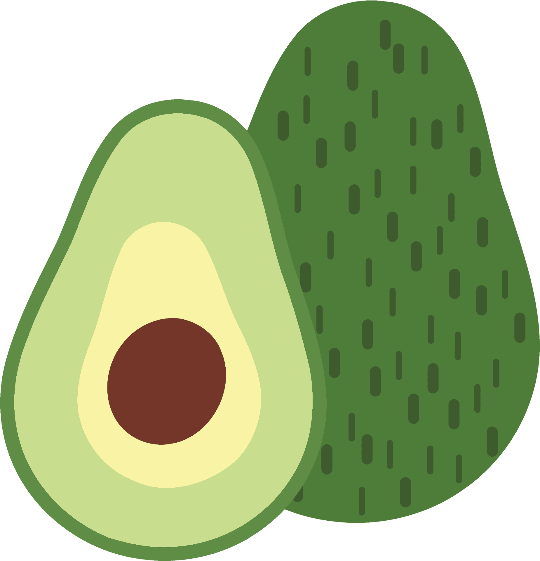 Avocado Halfand Whole Vector Illustration PNG Image