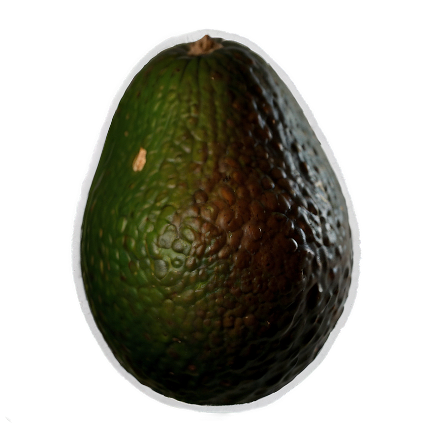 Avocado Seed Png 19 PNG Image