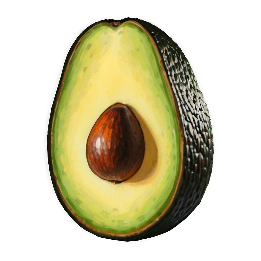 Avocado Sketch Png 05242024 PNG Image