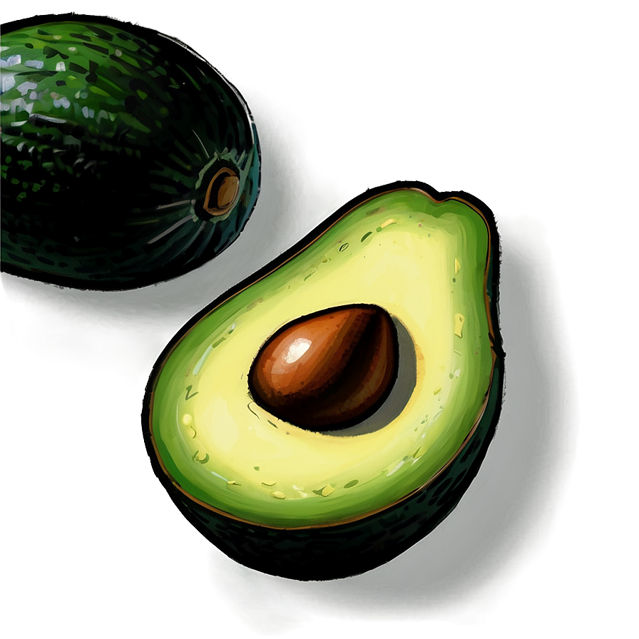 Avocado Sketch Png 05242024 PNG Image
