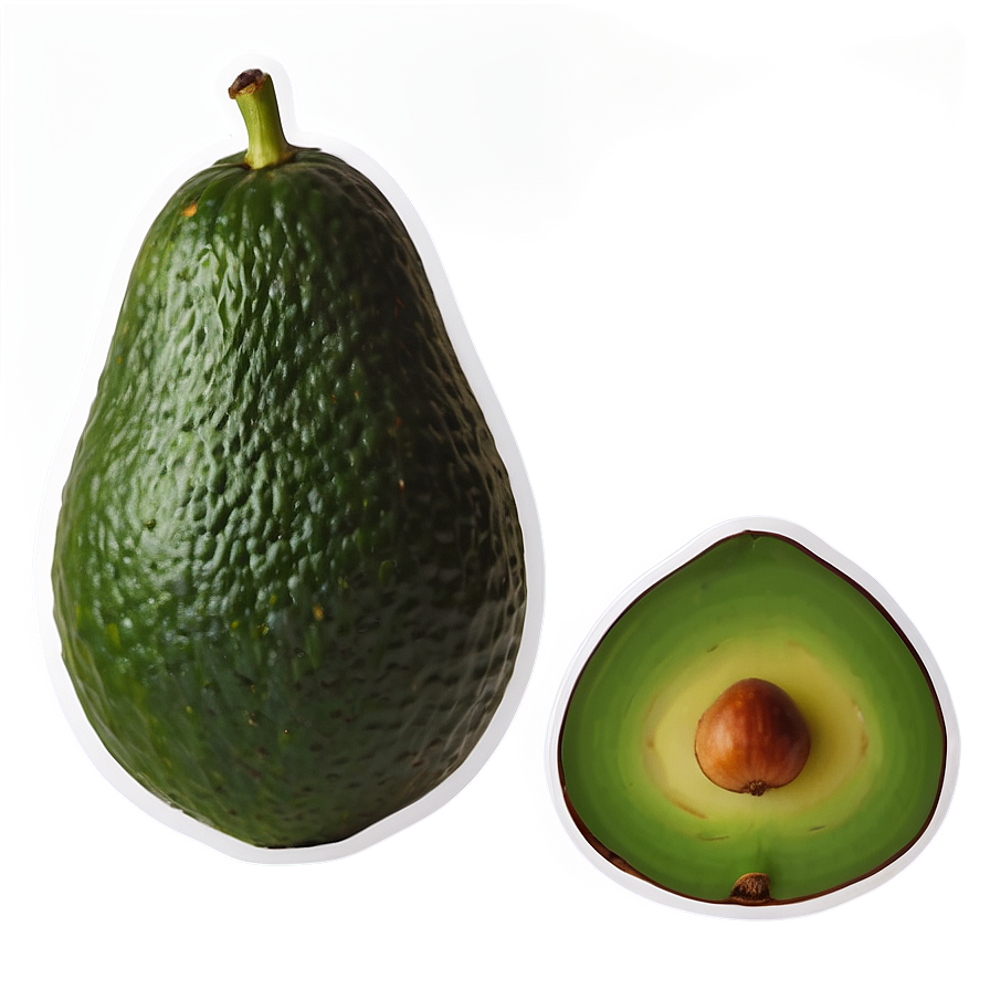 Avocado Vector Png 05242024 PNG Image