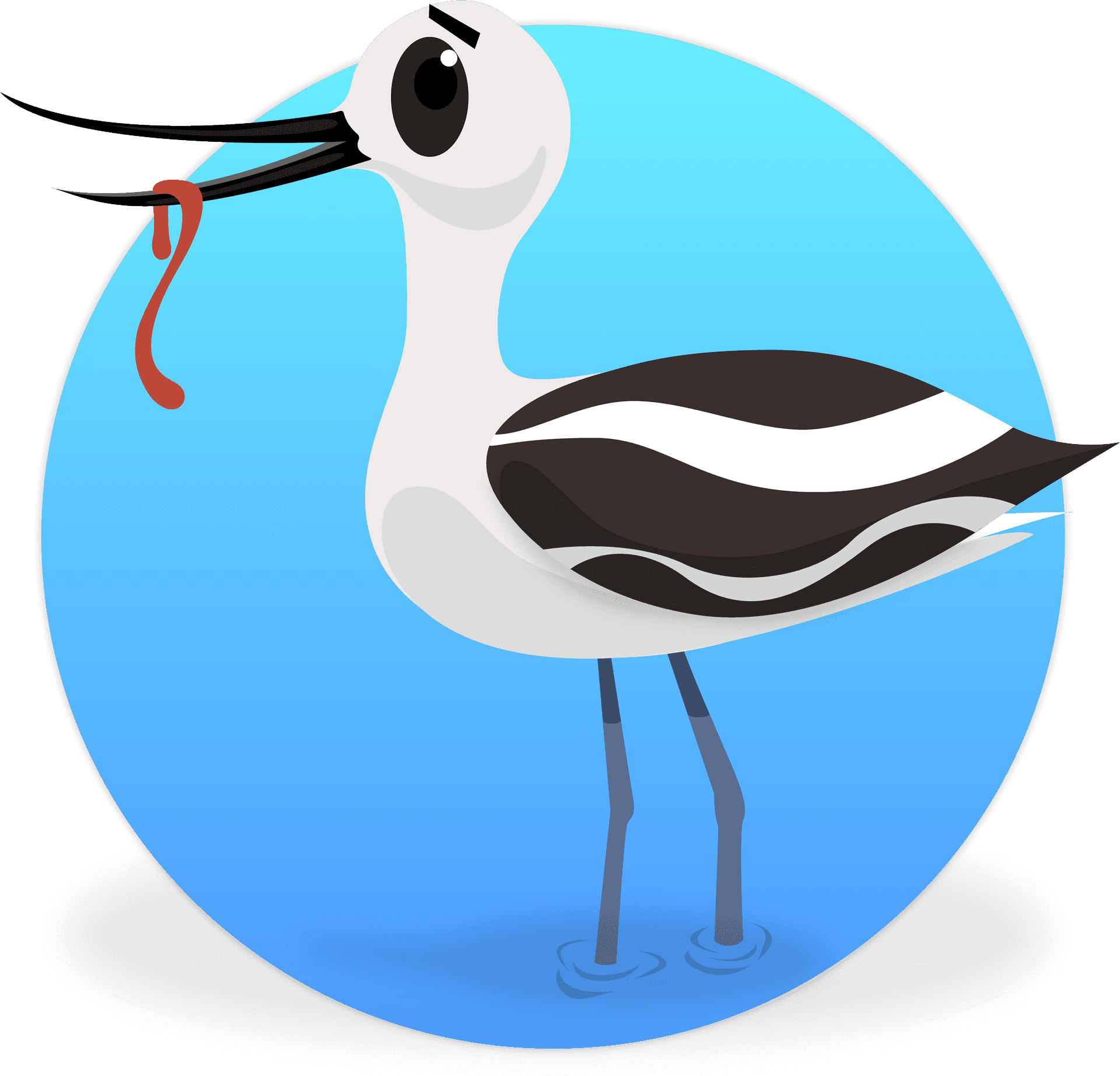 Avocet_with_ Worm_ Illustration PNG Image