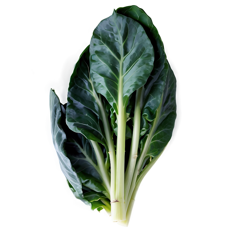 Baby Collard Greens Png Cby PNG Image