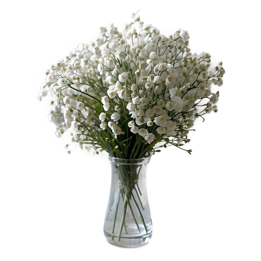 Baby's Breath In Vase Png 7 PNG Image