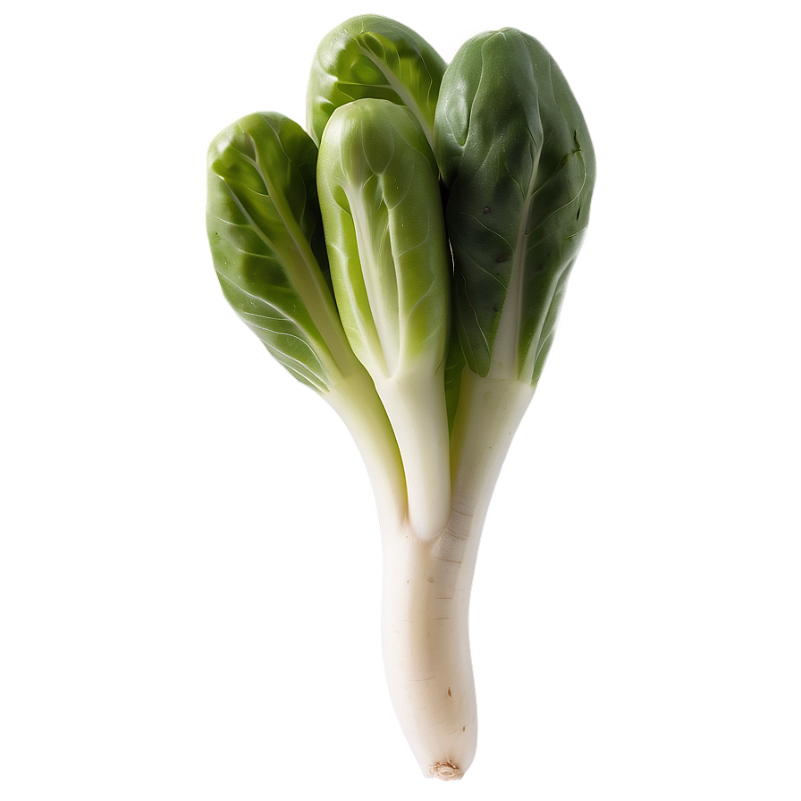 Baby Vegetables Png 05242024 PNG Image