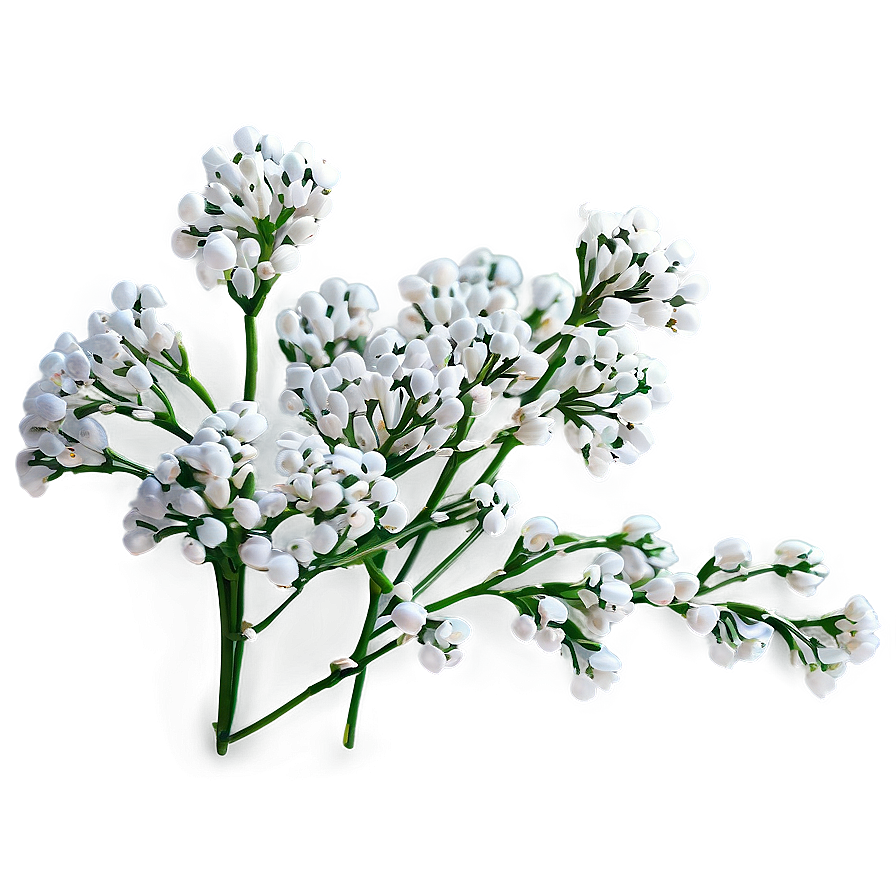 Babys Breath Fairy Lights Decor Png Qgb68 PNG Image