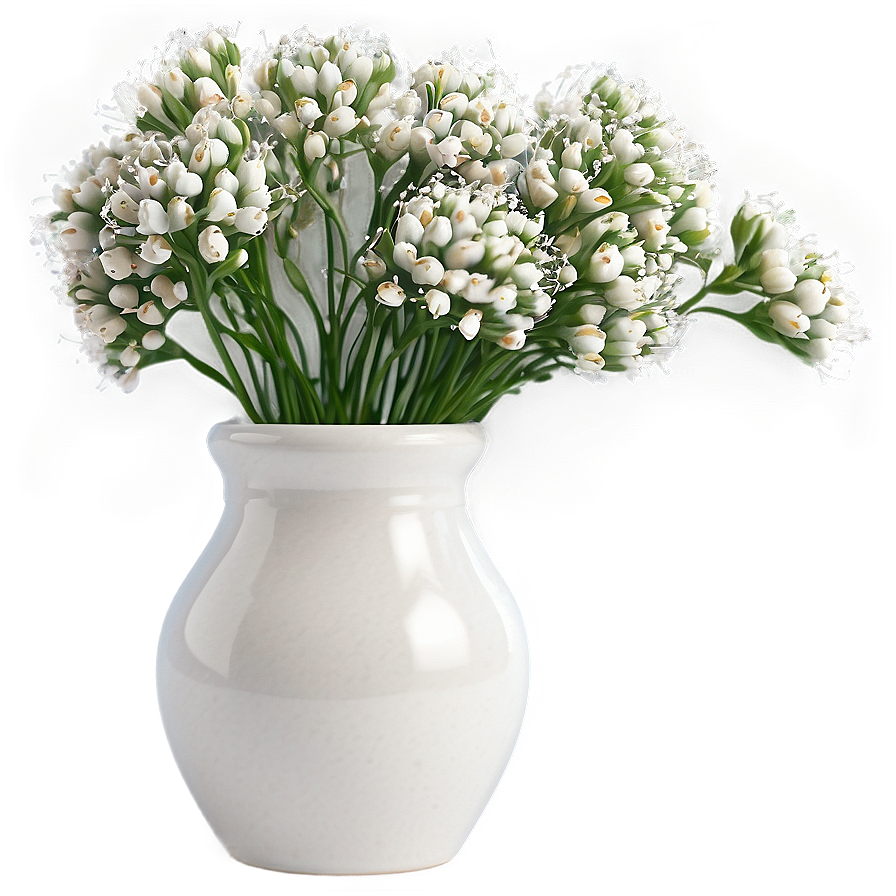 Babys Breath In Vase Png 54 PNG Image