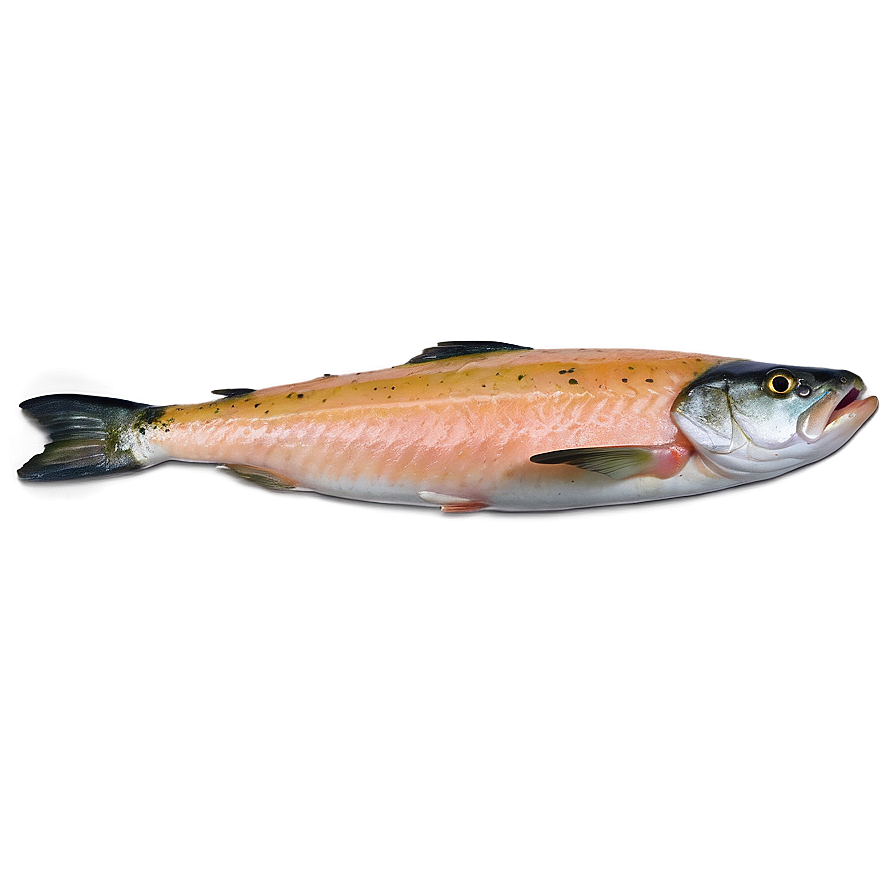 Baked Lemon Salmon Png 8 PNG Image