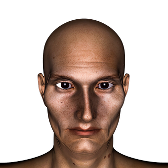 Bald Headed Man Portrait PNG Image