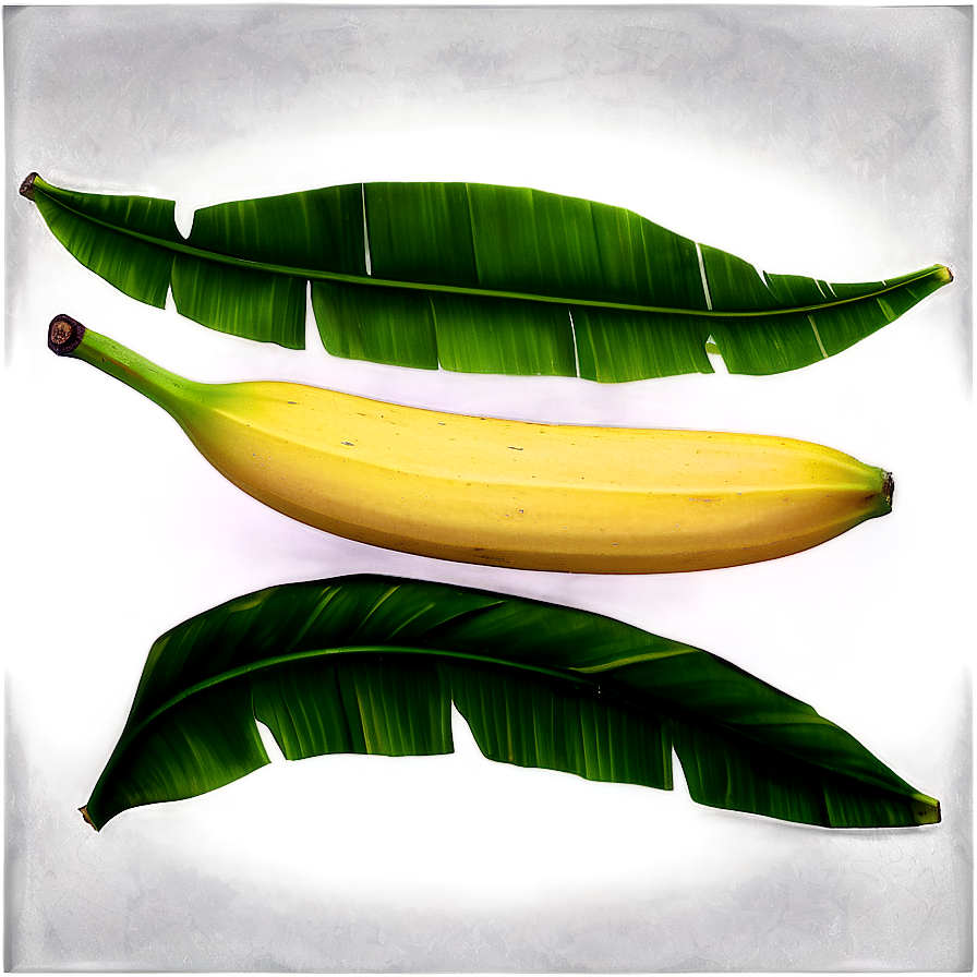 Banana Leaf Art Png Yic57 PNG Image