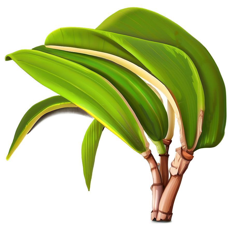 Banana Leaf Clipart Png 06232024 PNG Image