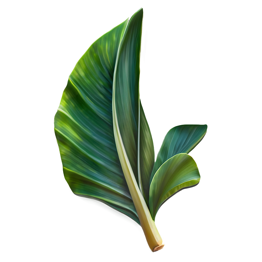 Banana Leaf Design Png Uae PNG Image