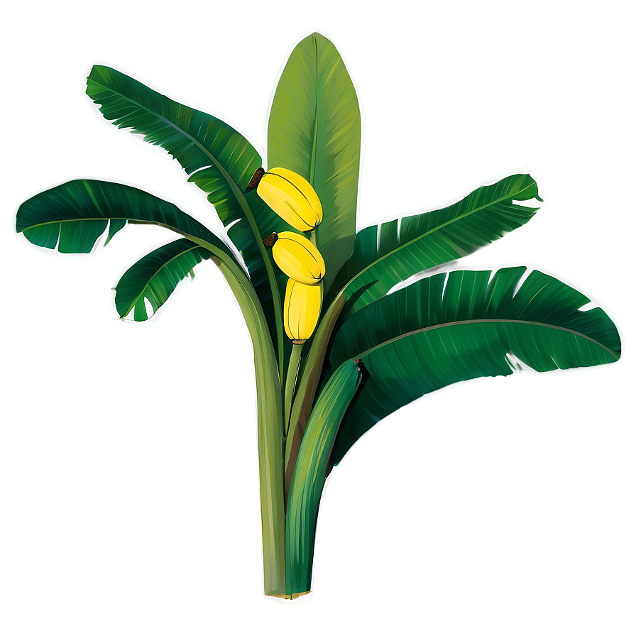 Banana Leaf Drawing Png 36 PNG Image