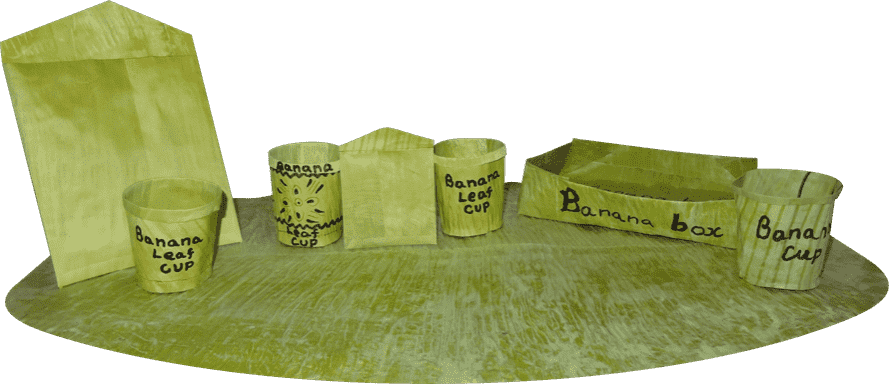 Banana Leaf Eco Friendly Products PNG Image