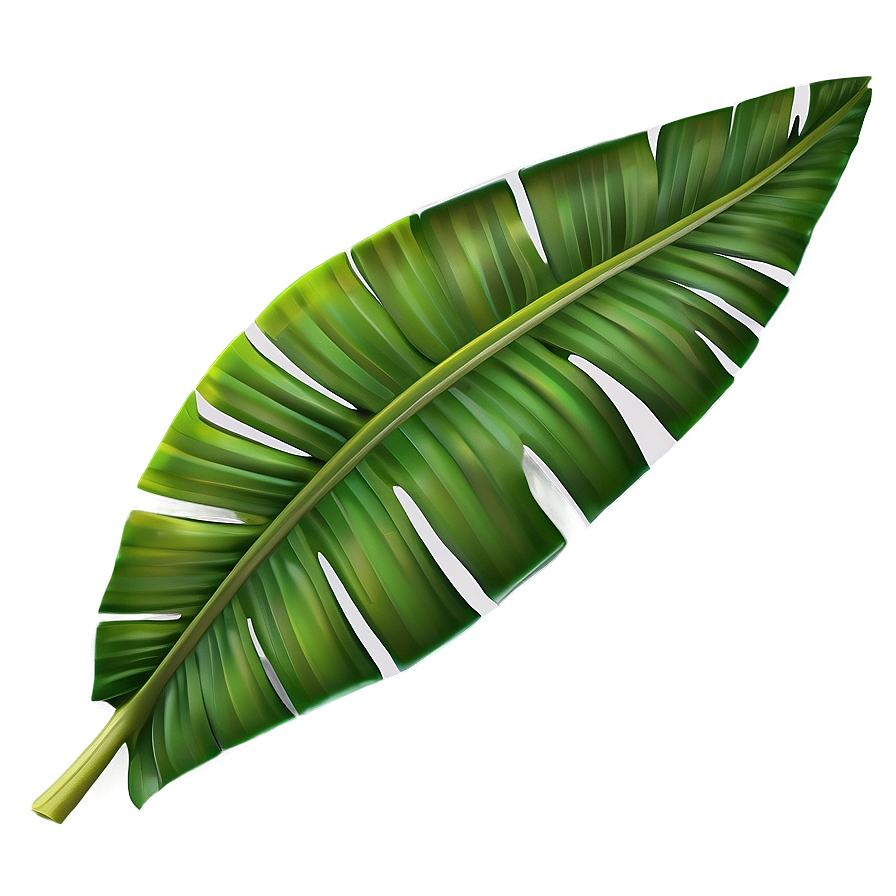 Banana Leaf Element Png Yol PNG Image