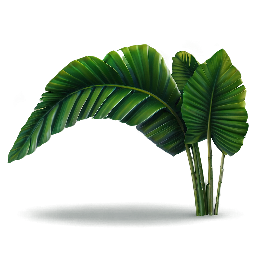 Banana Leaf Environment Png Uoc15 PNG Image